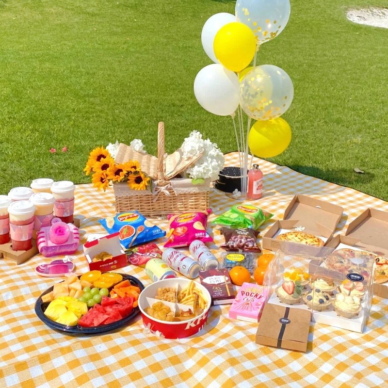 179x170cm Extra Large Picnic M - Outdoor Camping Rugs 评论和价格