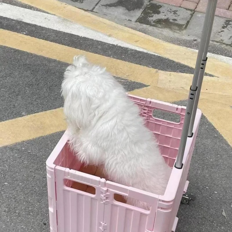 Folding Convenient Supermarket - Outdoor Camping Trolley 评论和价格