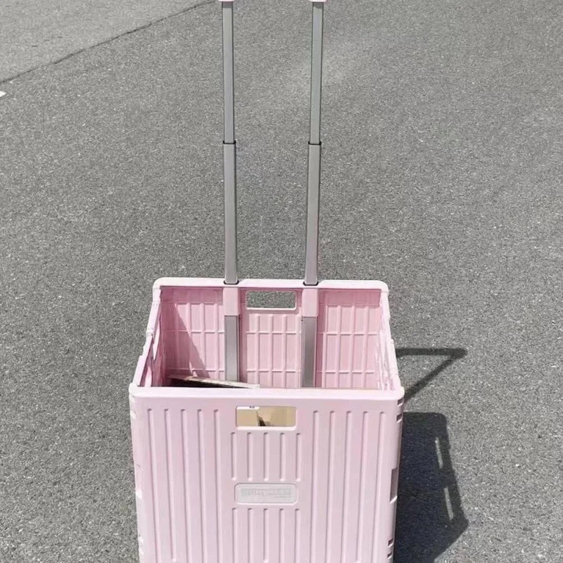 Folding Convenient Supermarket - Outdoor Camping Trolley 评论和价格