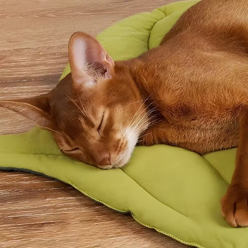 Reversible Soft Leaf Pet Cushi - Outdoor Camping Dog Bed 评论和价格