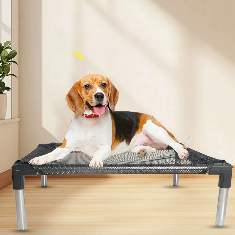 Cooling Elevated Dog Bed - Rai - Outdoor Camping Dog Bed 评论和价格