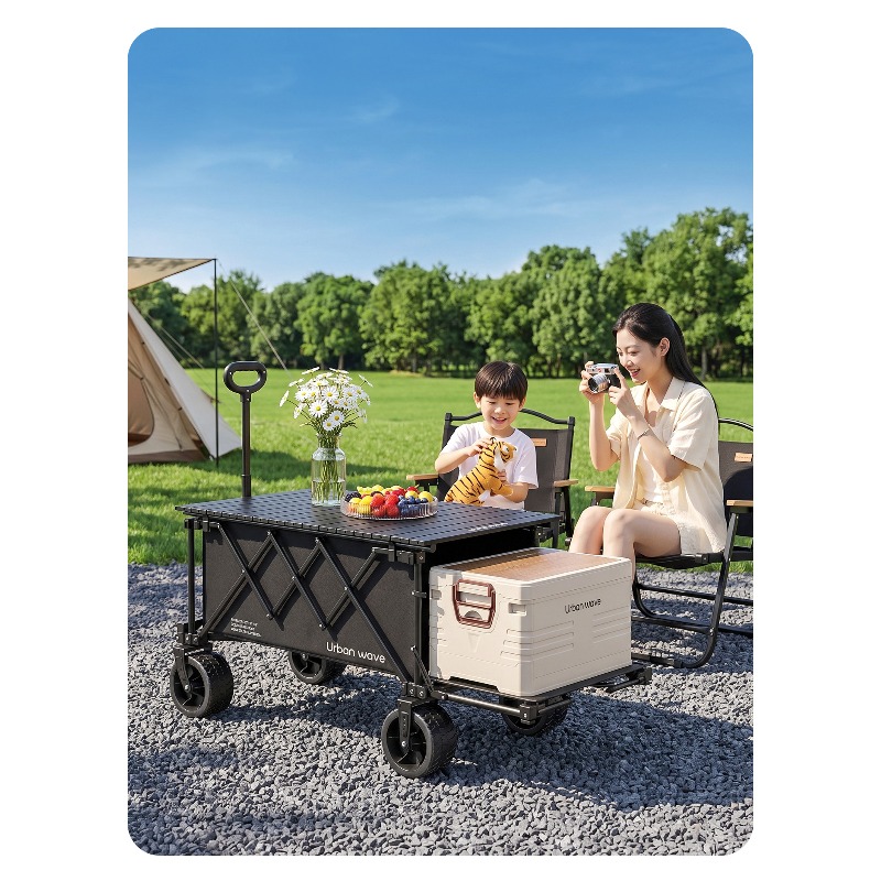 Folding Camping Wagon Cart Out - Outdoor Camping Trolley 评论和价格