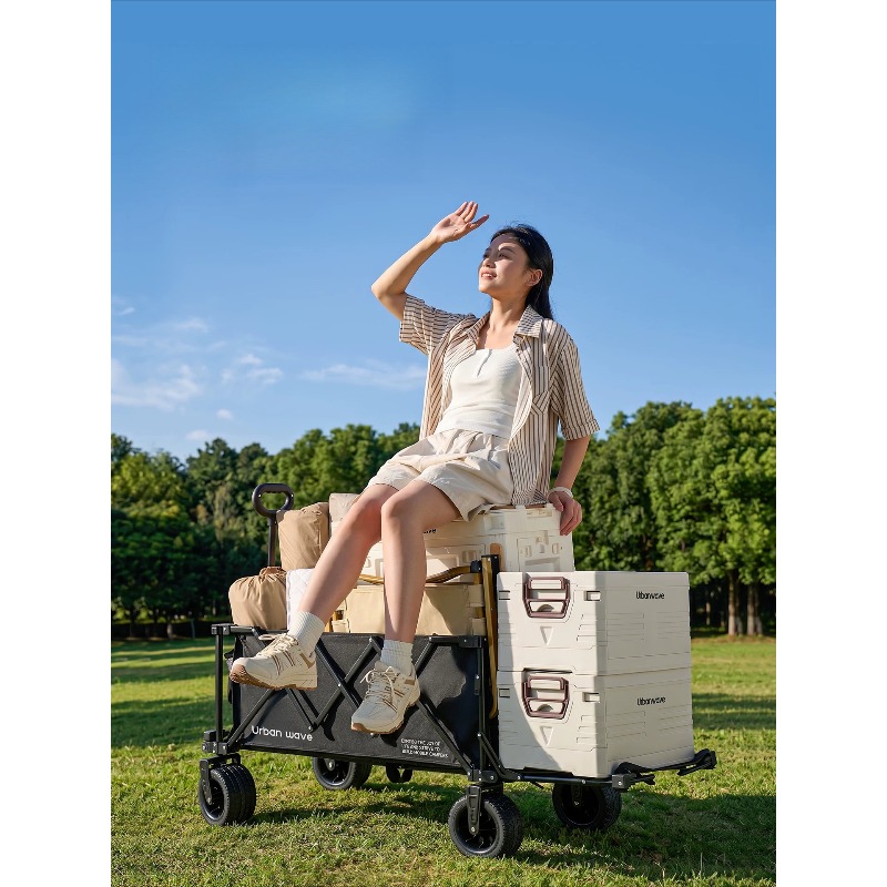 Folding Camping Wagon Cart Out - Outdoor Camping Trolley 评论和价格