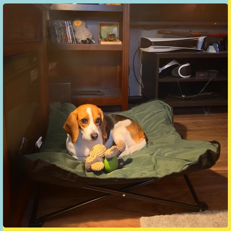 Portable Folding Pet Bed Outdo - Outdoor Camping Dog Bed 评论和价格
