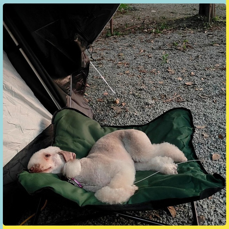 Portable Folding Pet Bed Outdo - Outdoor Camping Dog Bed 评论和价格