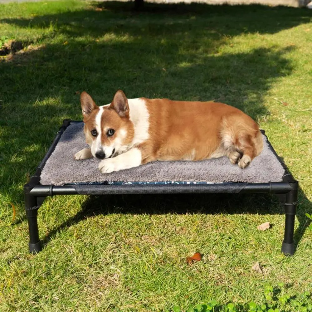 Outdoor Elevated Dog Bed, Fold - Outdoor Camping Dog Bed 评论和价格